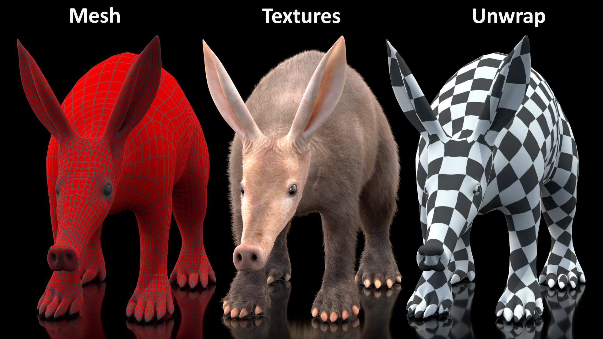 3D Orycteropus Afer Basic Pose Fur