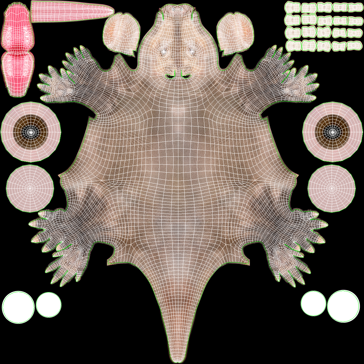 3D Orycteropus Afer Basic Pose Fur