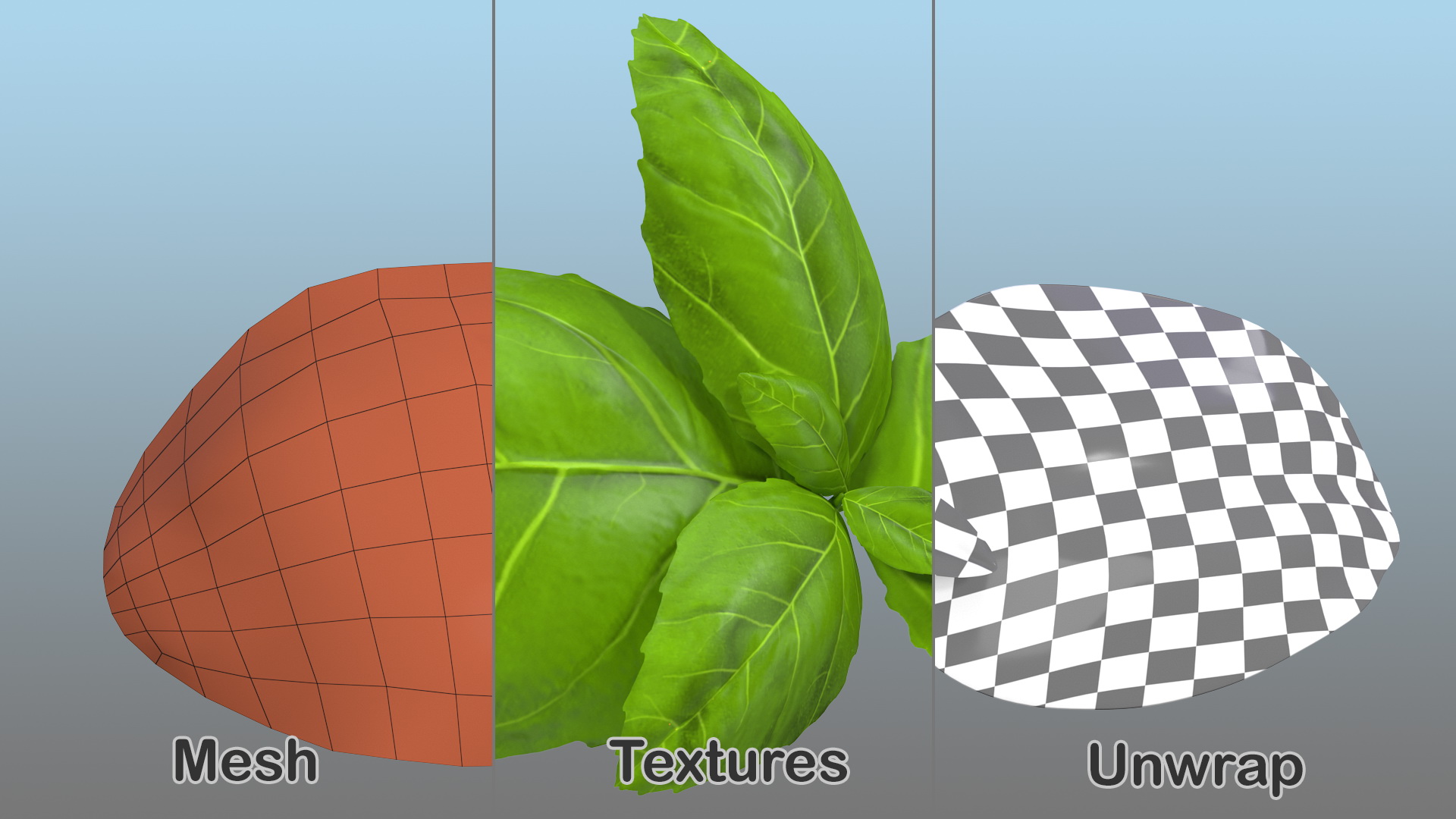 Fresh Basil Leafs 3D