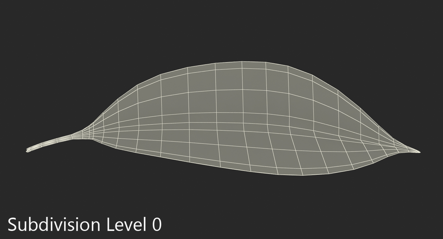 3D Cherry Leaf