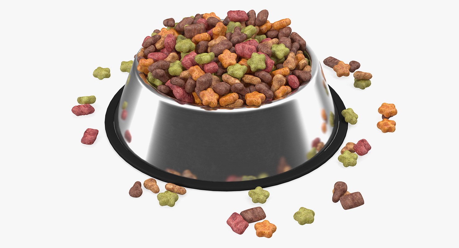 3D Dry Pet Food Stainless Steel Bowl model