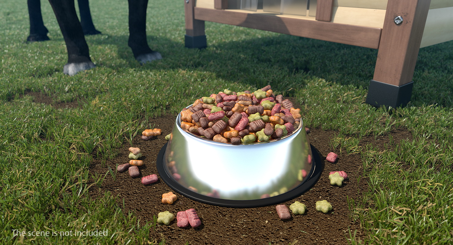 3D Dry Pet Food Stainless Steel Bowl model