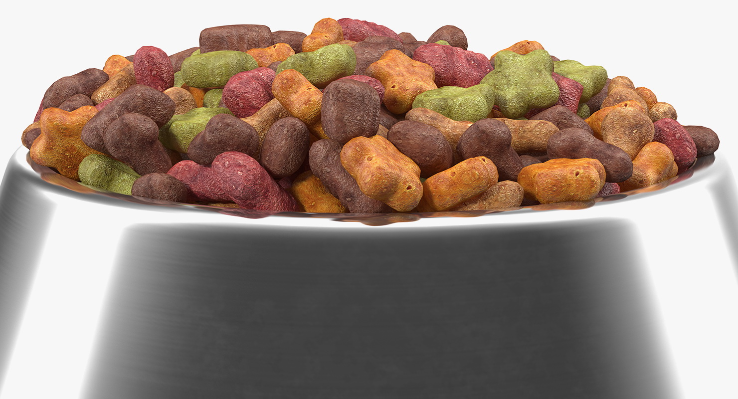 3D Dry Pet Food Stainless Steel Bowl model
