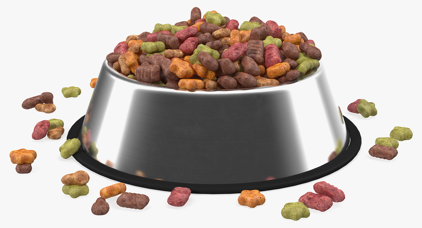3D Dry Pet Food Stainless Steel Bowl model