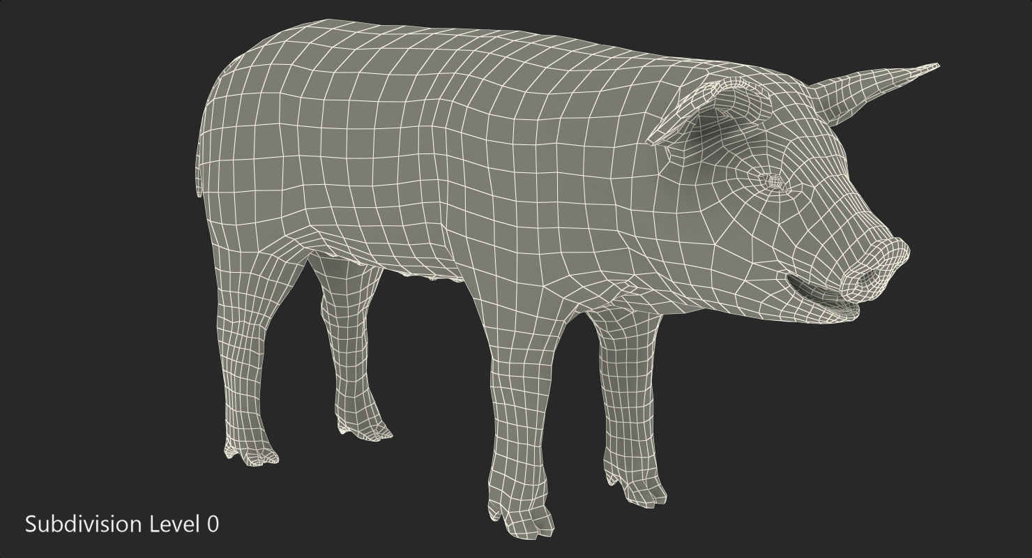 Pig Piglet Landrace 3D model