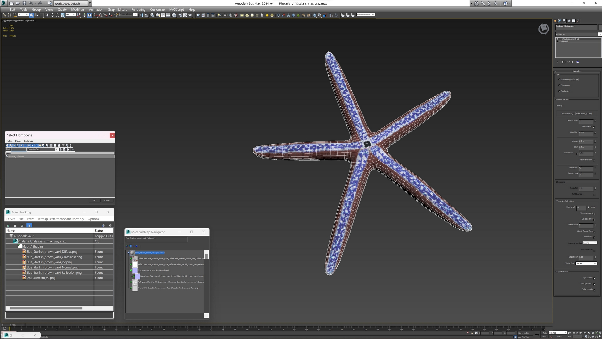 3D Phataria Unifascialis