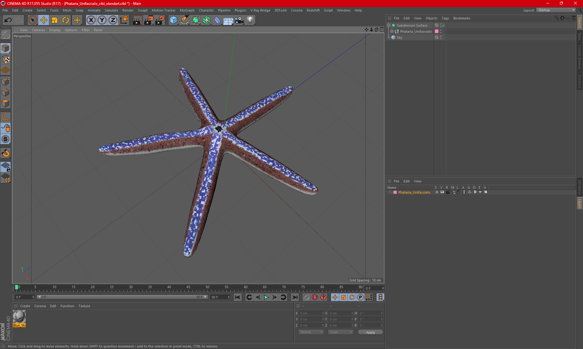 3D Phataria Unifascialis