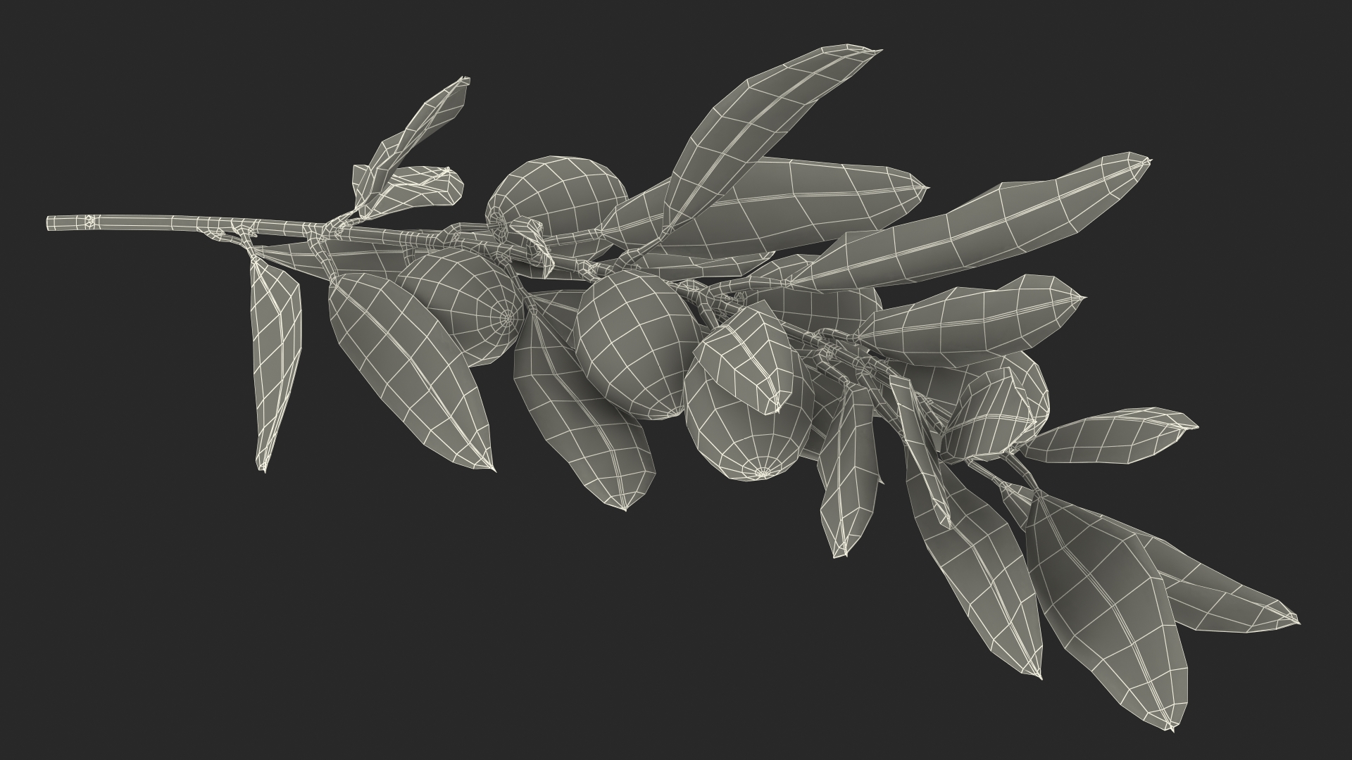 3D Olive Branch with Green Olives Lying