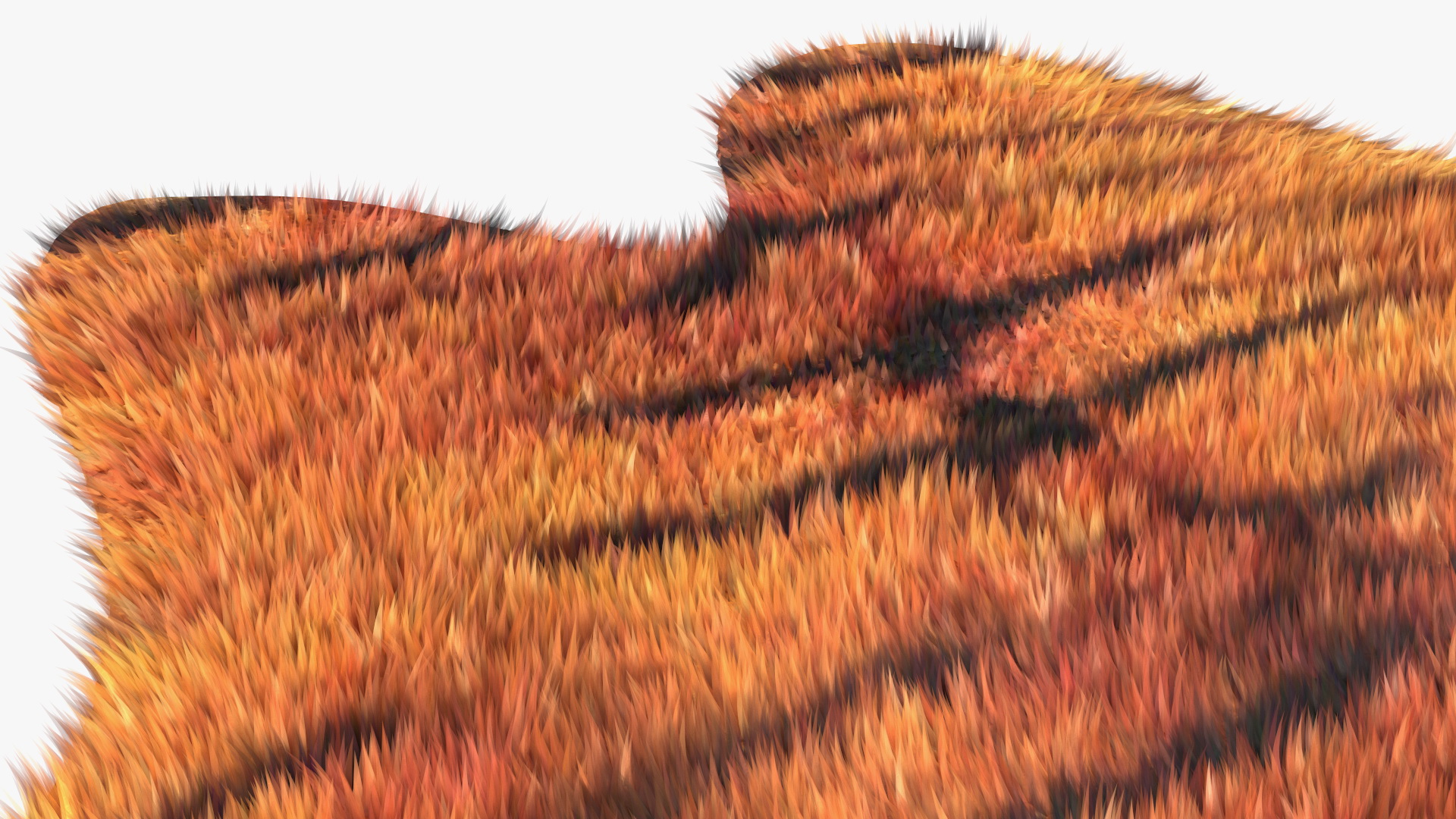 3D Tiger Hide Rug with Fur model