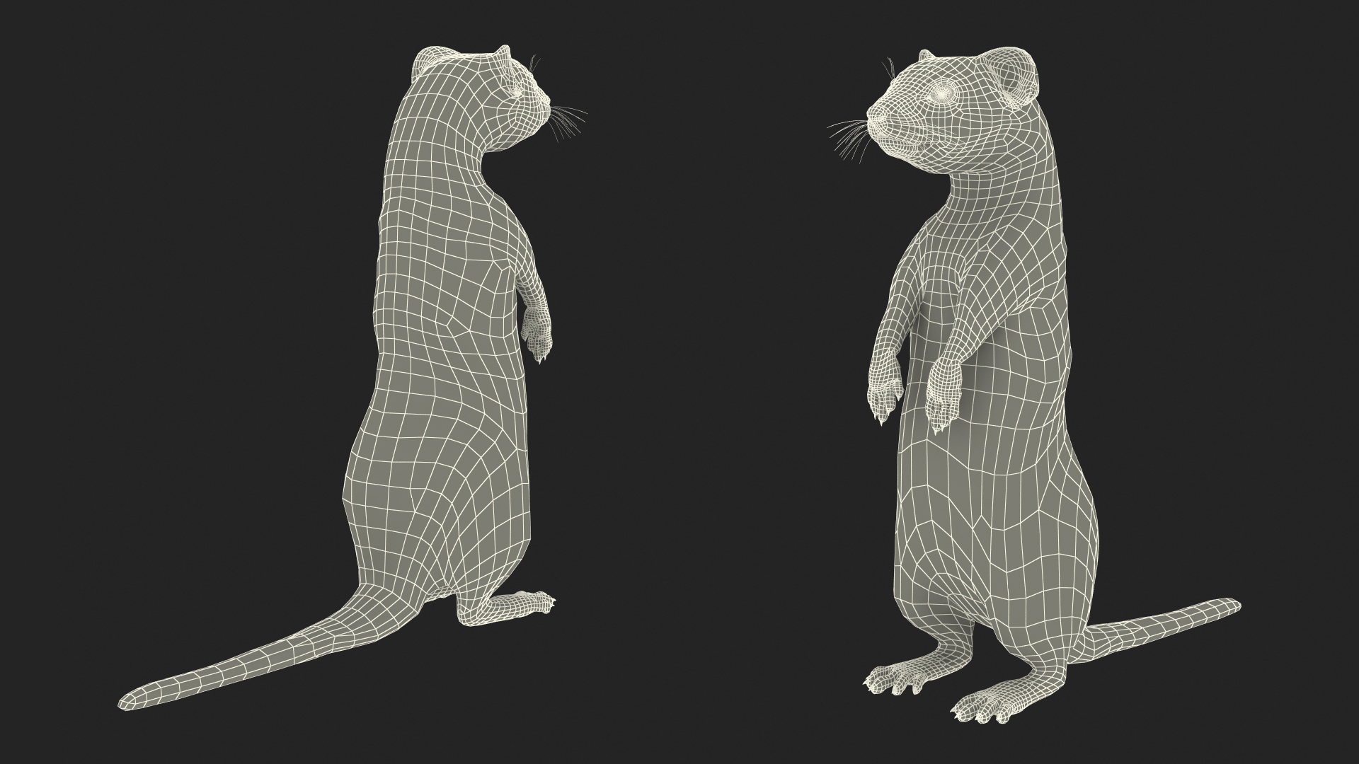 3D model Beringian Stoat Brown Standing Pose
