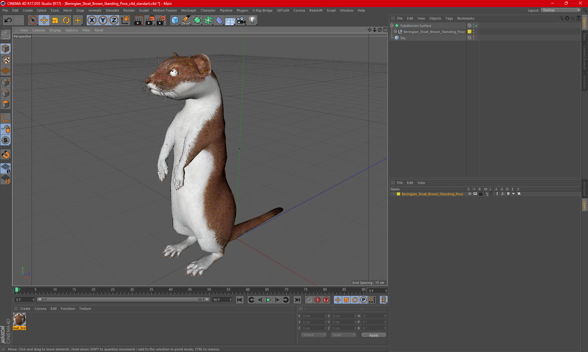 3D model Beringian Stoat Brown Standing Pose