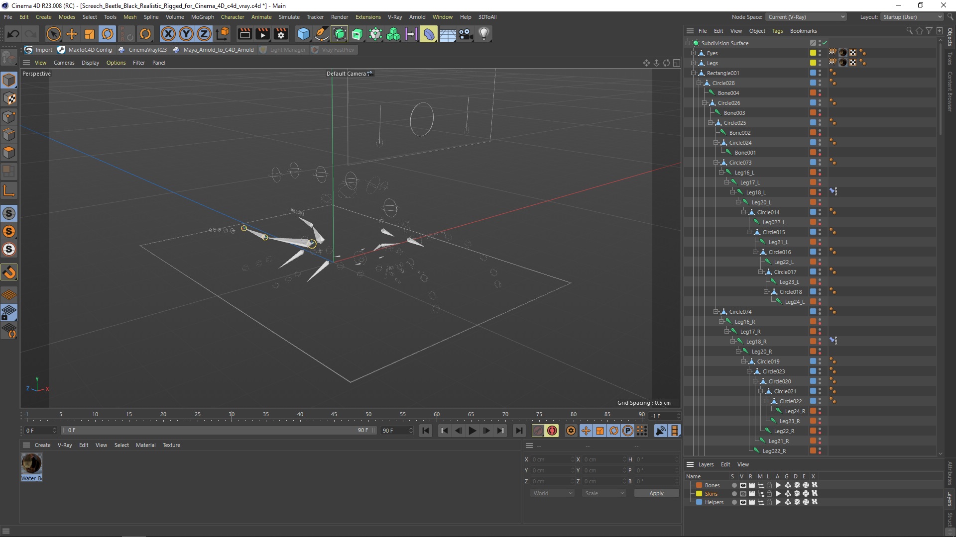 3D Screech Beetle Black Realistic Rigged for Cinema 4D
