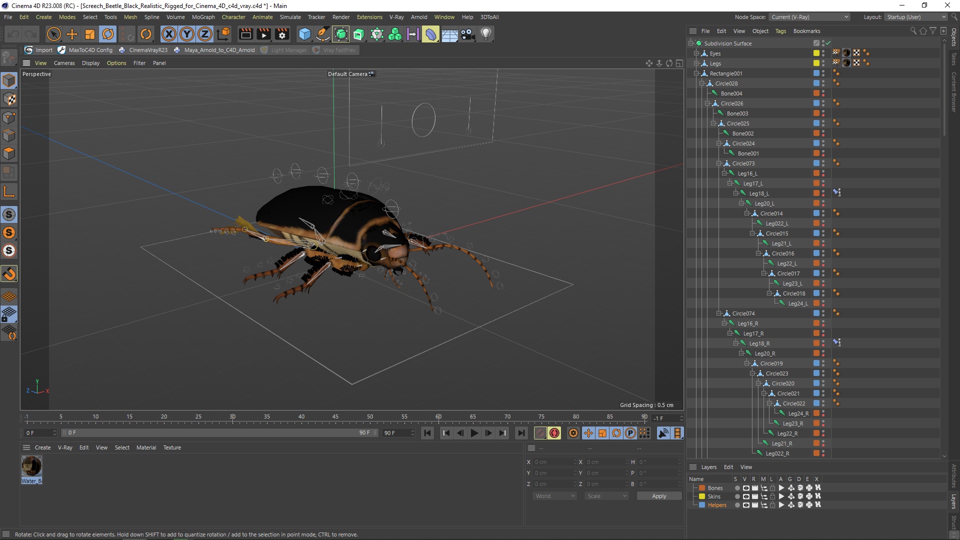3D Screech Beetle Black Realistic Rigged for Cinema 4D
