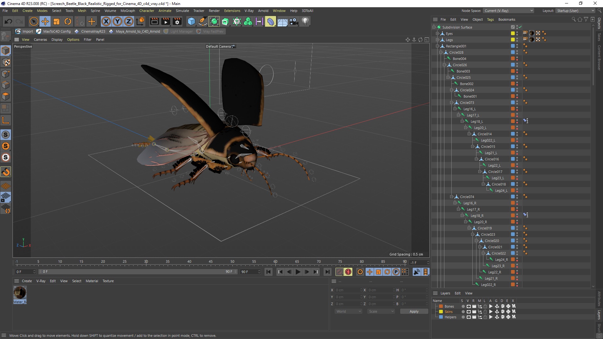 3D Screech Beetle Black Realistic Rigged for Cinema 4D