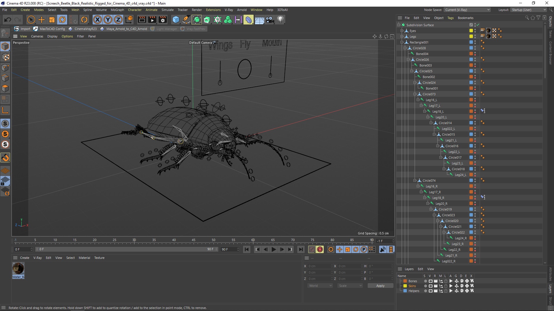 3D Screech Beetle Black Realistic Rigged for Cinema 4D