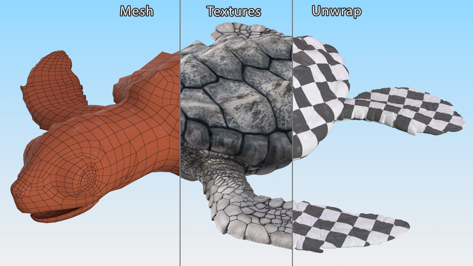 3D model Baby Sea Turtle Gray