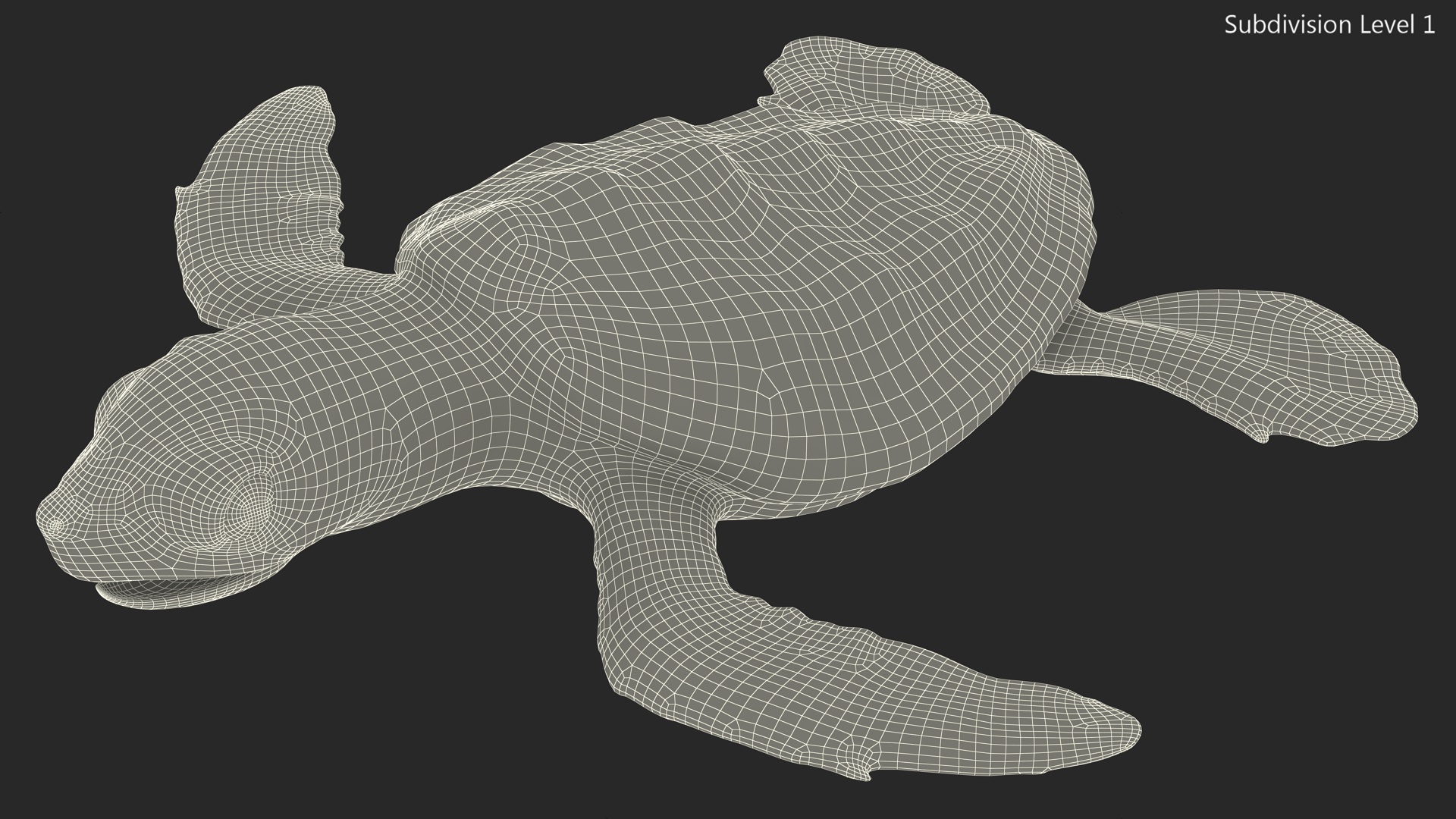 3D model Baby Sea Turtle Gray
