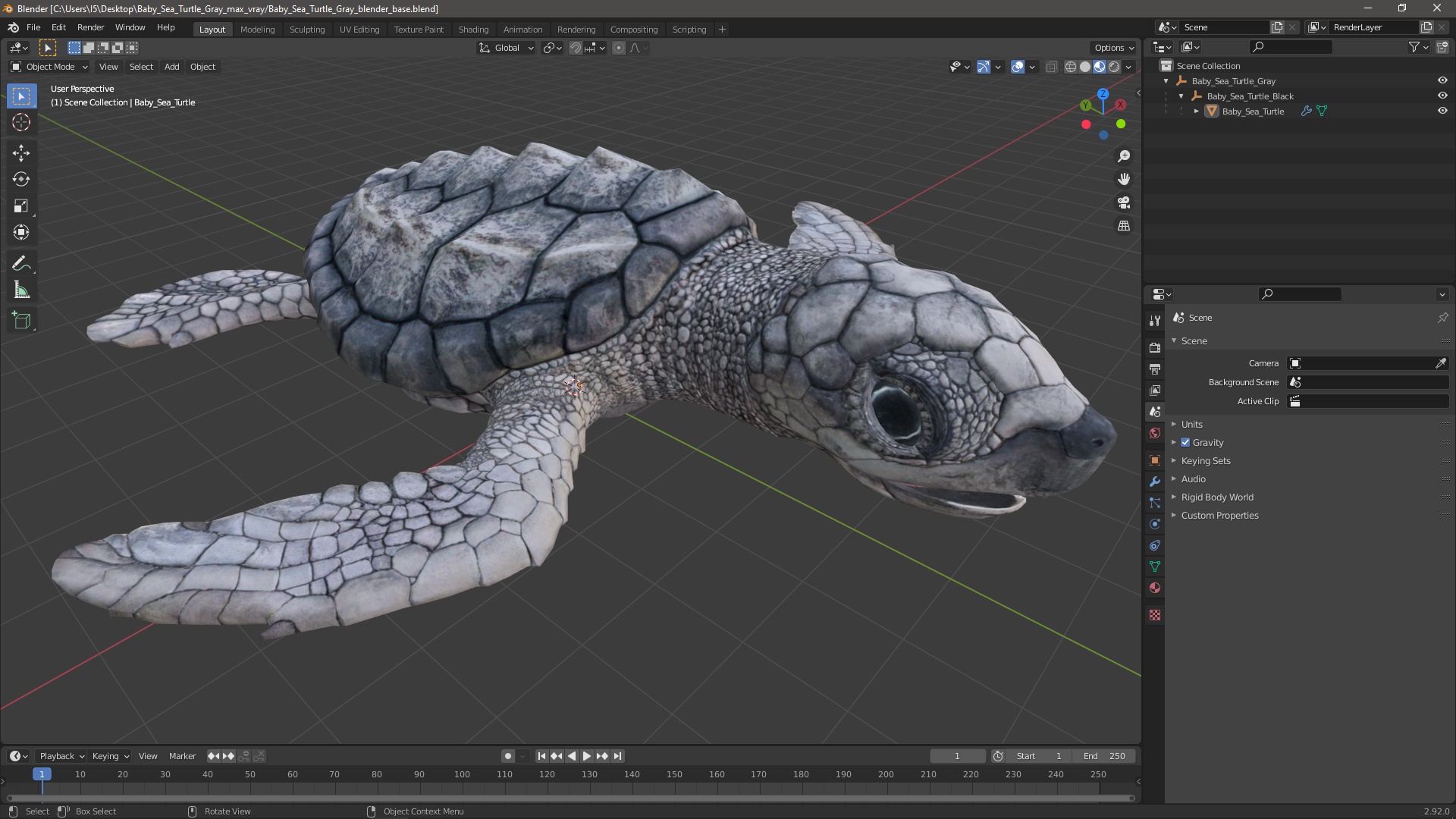 3D model Baby Sea Turtle Gray