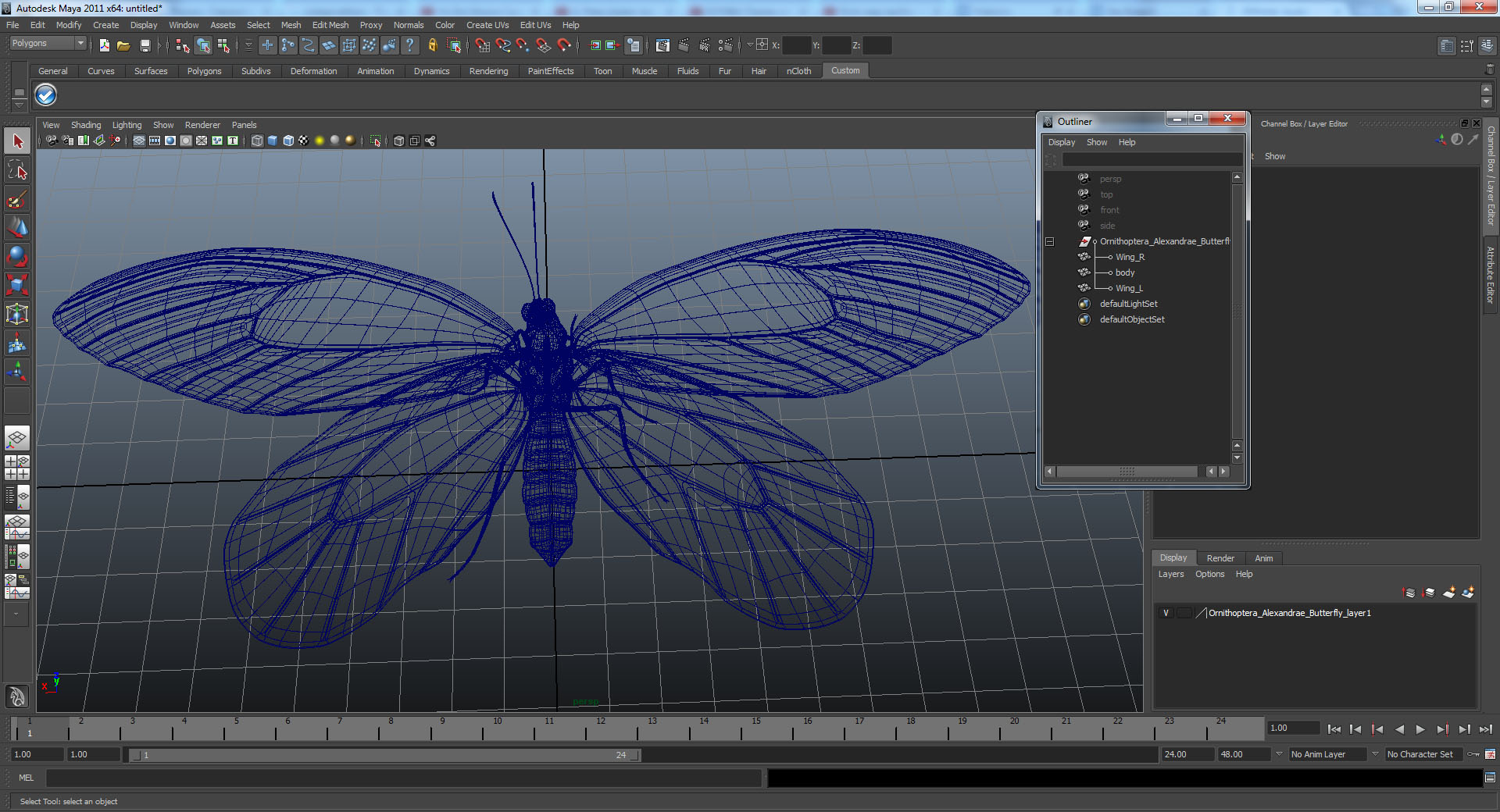 3D Ornithoptera Alexandrae Butterfly model