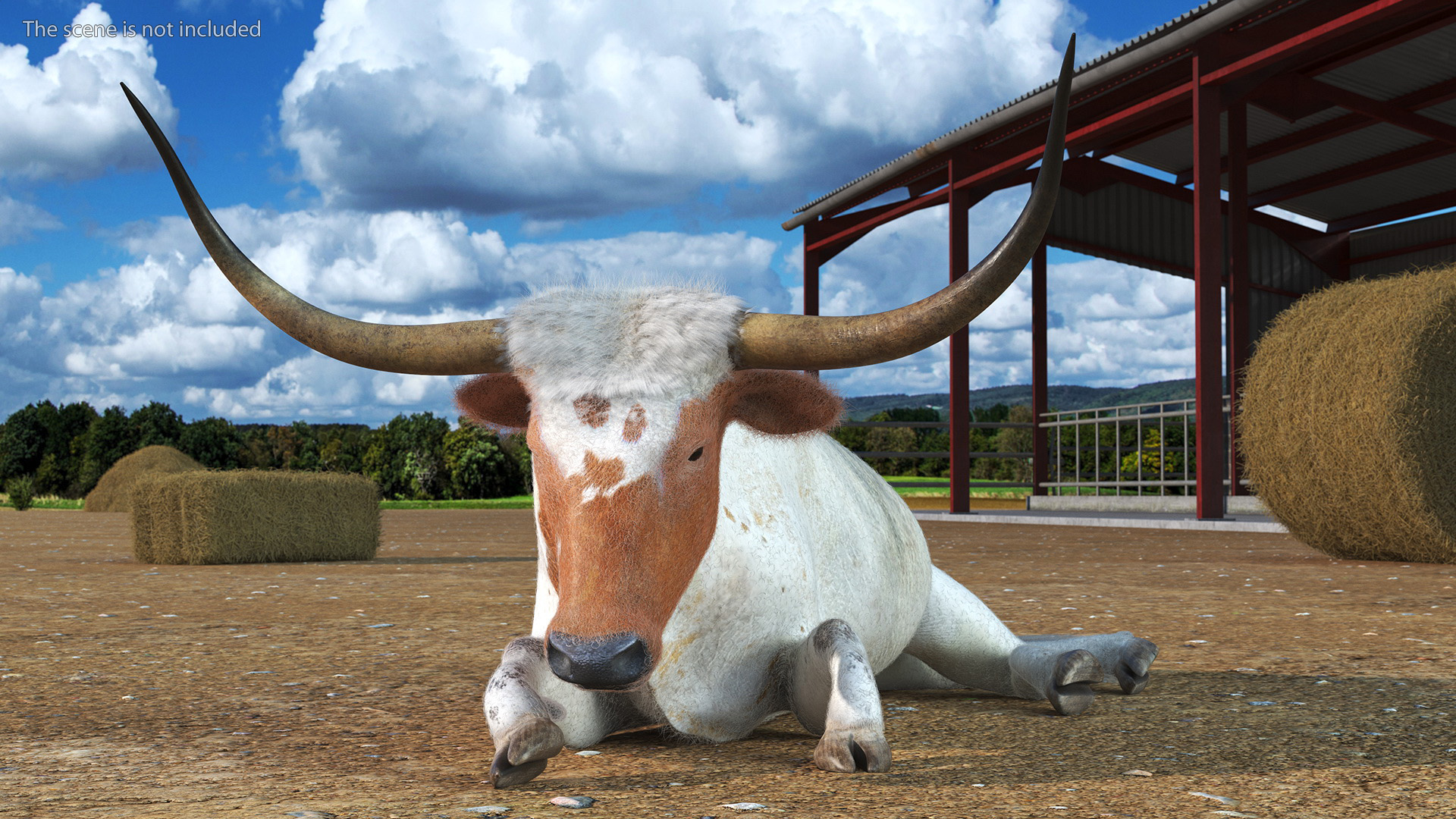 3D model Lying Longhorn Bull White Color Fur