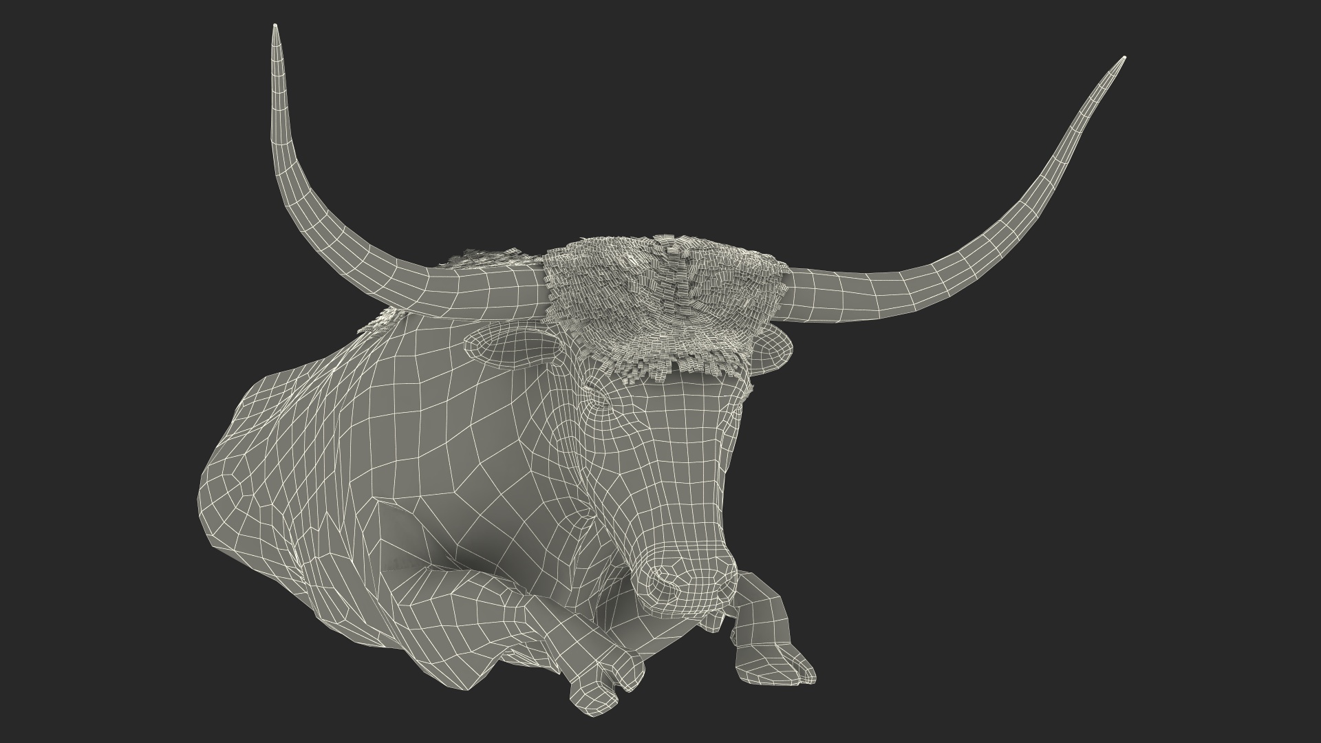 3D model Lying Longhorn Bull White Color Fur