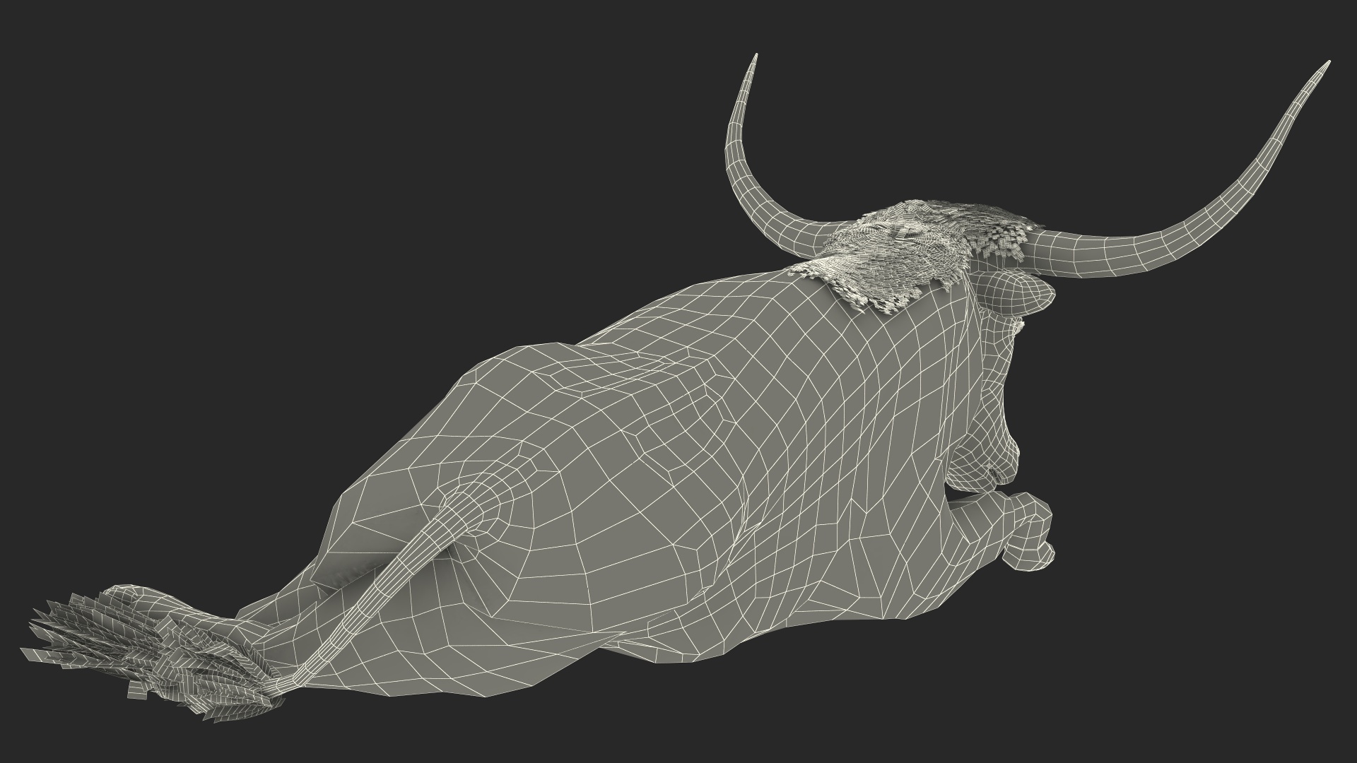 3D model Lying Longhorn Bull White Color Fur