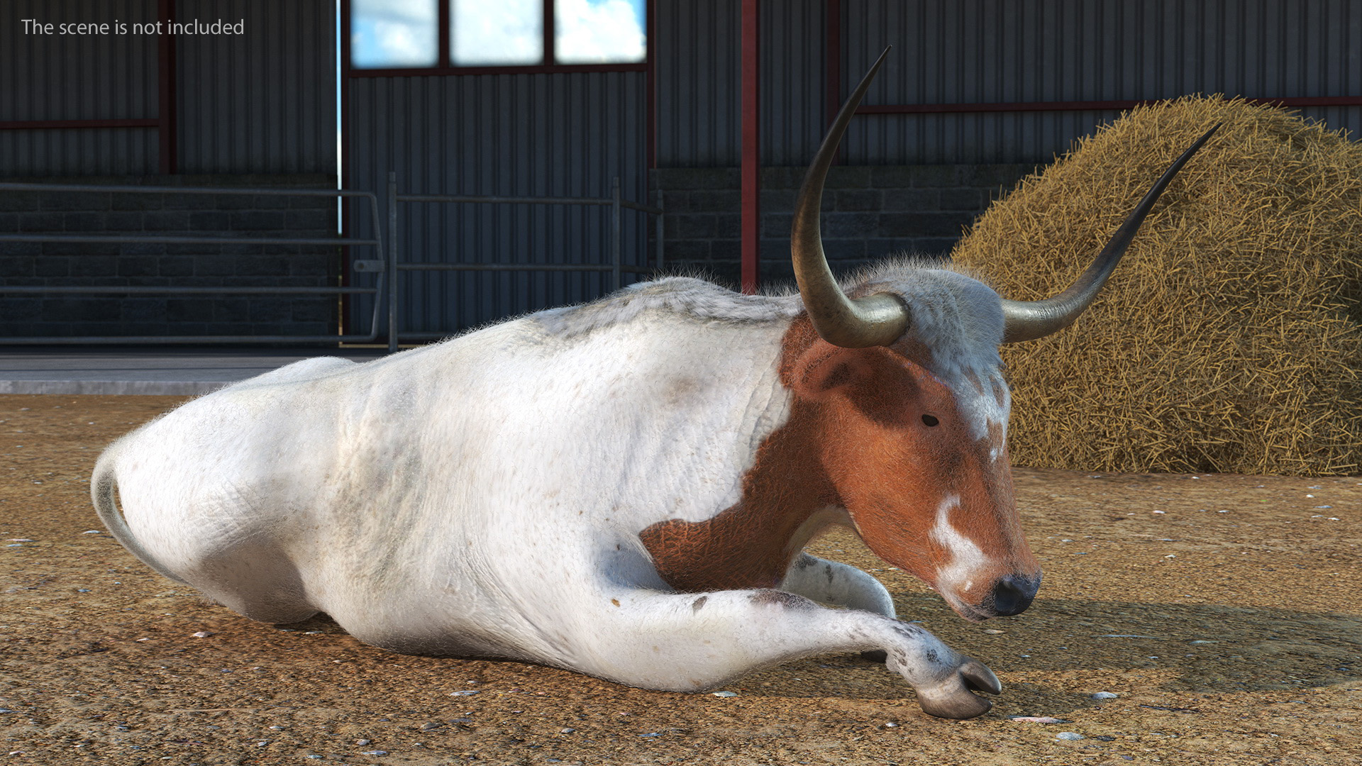 3D model Lying Longhorn Bull White Color Fur