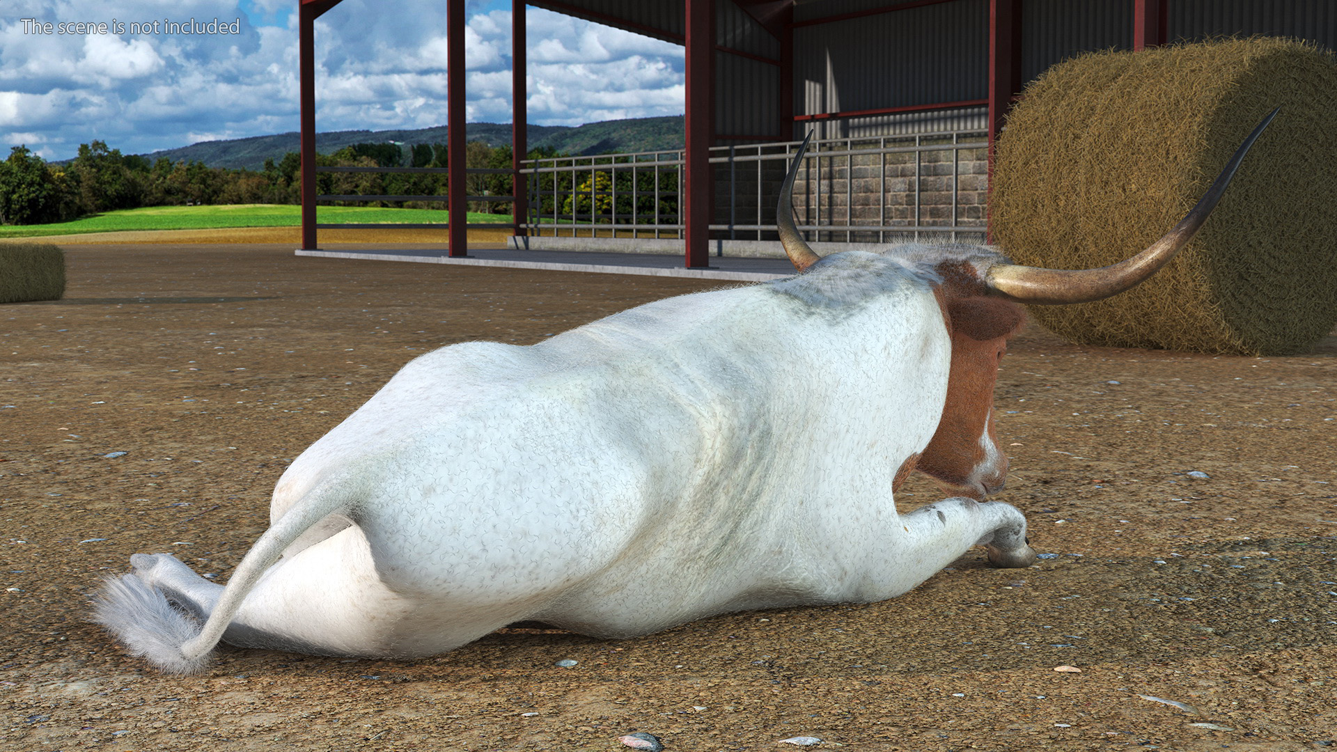 3D model Lying Longhorn Bull White Color Fur