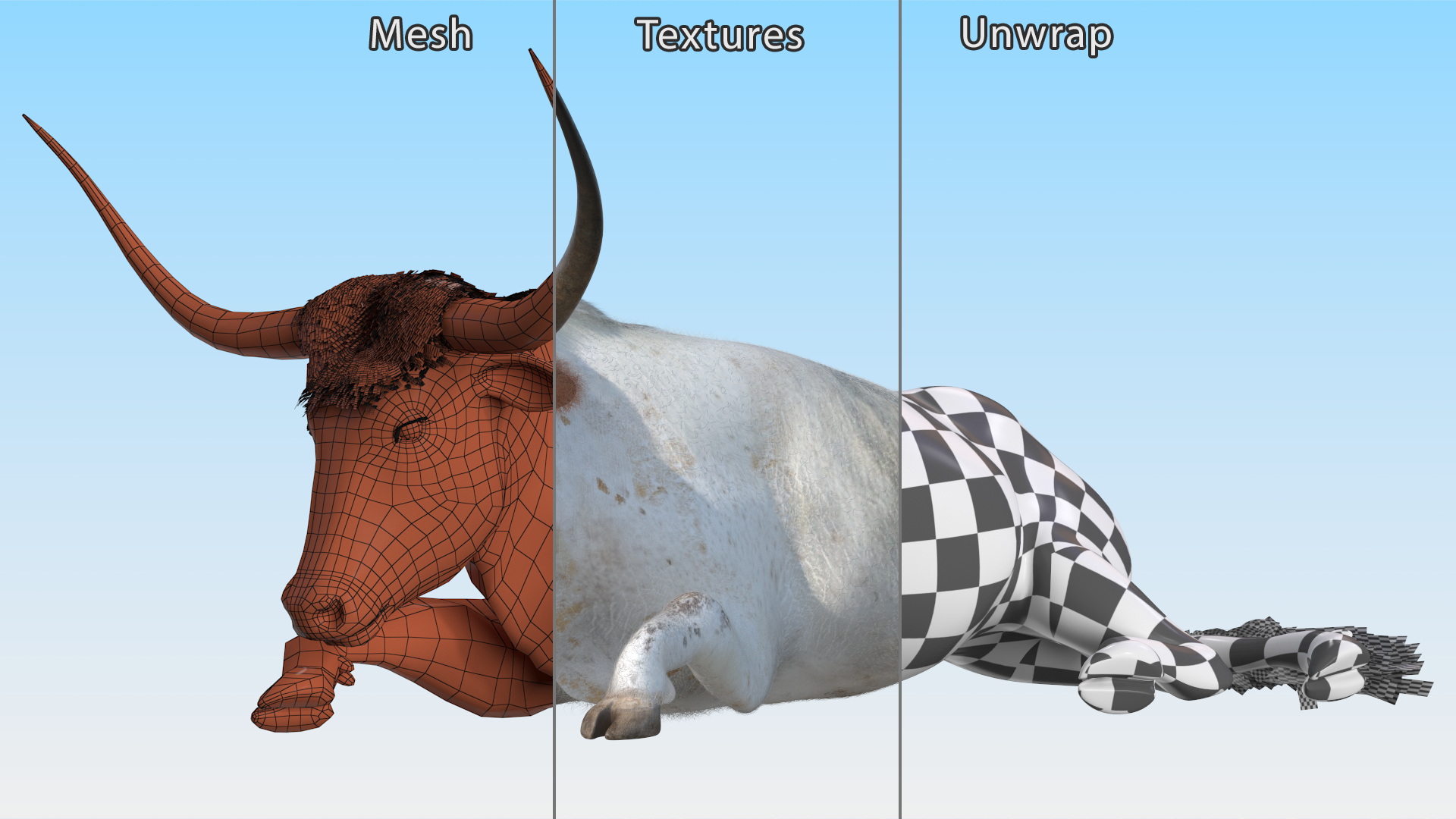 3D model Lying Longhorn Bull White Color Fur