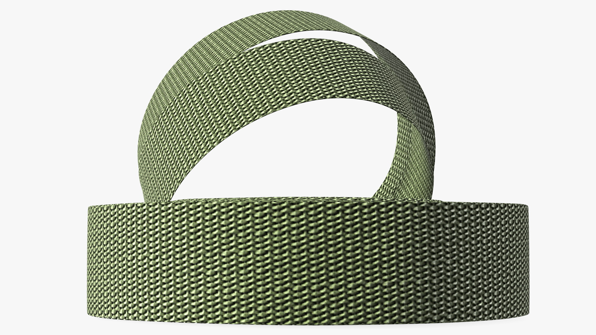3D model Heavy Duty Webbing Belt Strap Green