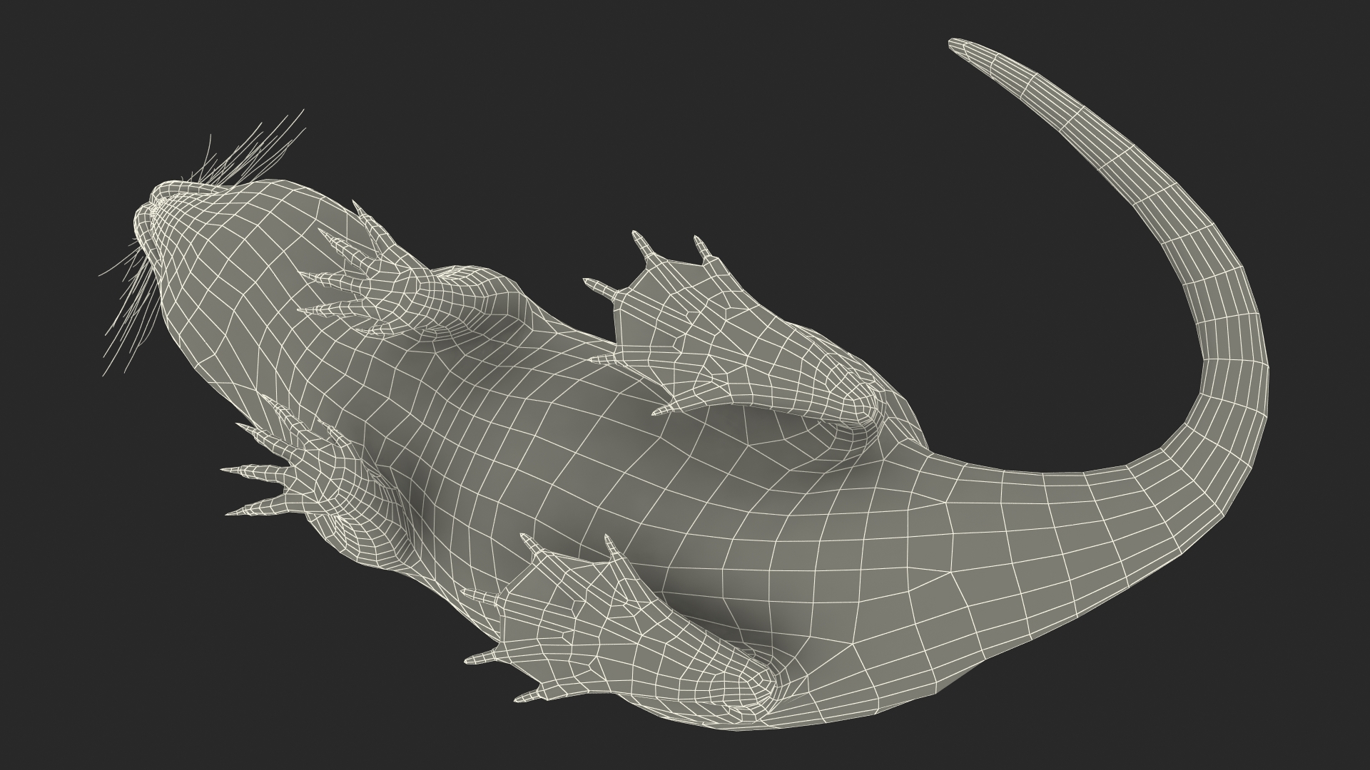 Nutria in a Sitting Pose 3D model