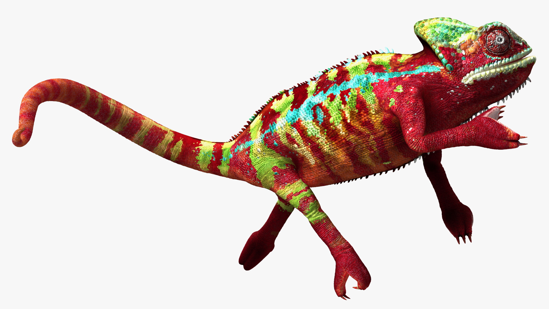 Chameleon Red Rigged for Cinema 4D 3D model