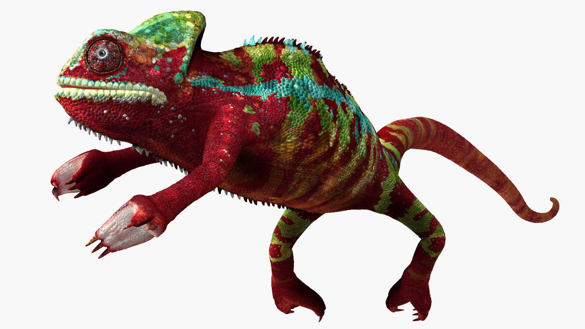 Chameleon Red Rigged for Cinema 4D 3D model