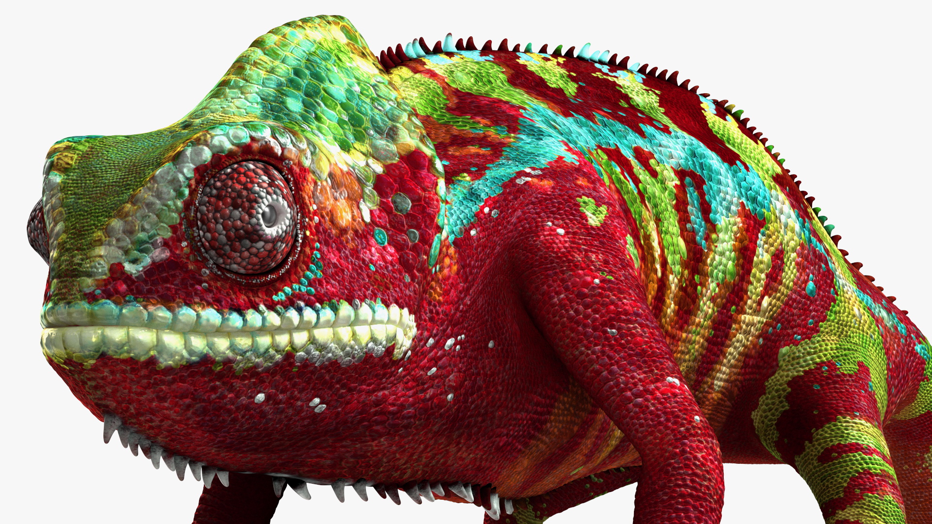 Chameleon Red Rigged for Cinema 4D 3D model