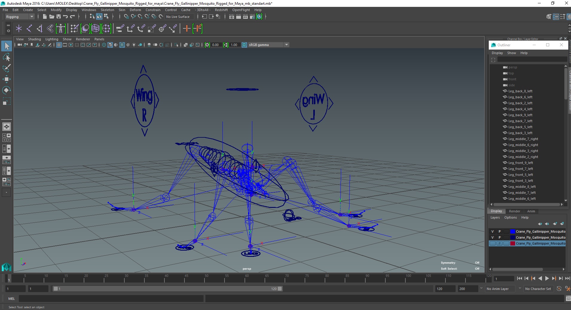 3D Crane Fly Gallinipper Mosquito Rigged for Maya