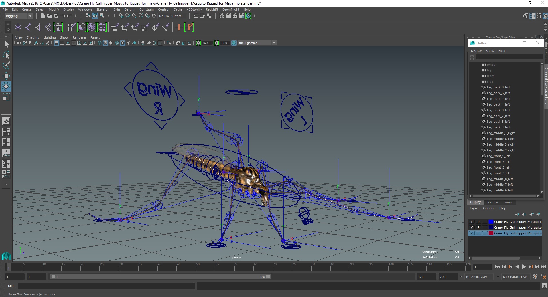 3D Crane Fly Gallinipper Mosquito Rigged for Maya