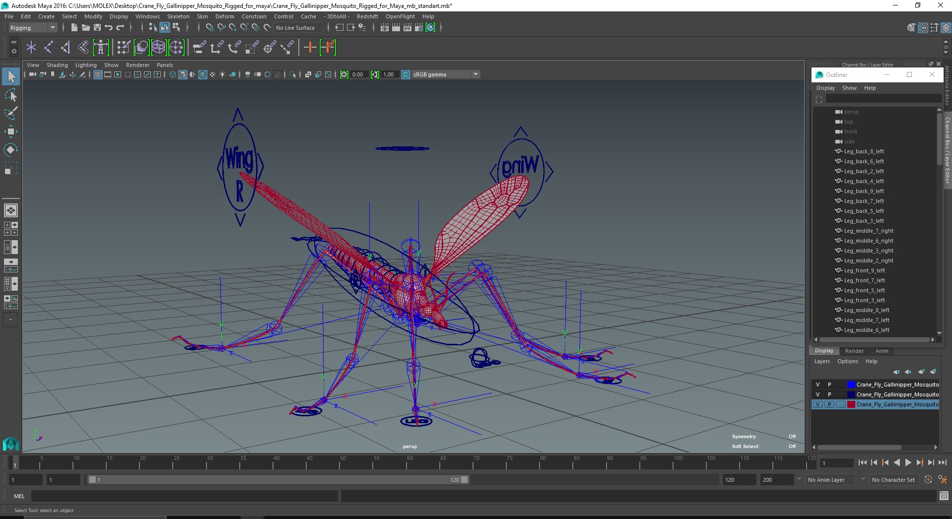 3D Crane Fly Gallinipper Mosquito Rigged for Maya