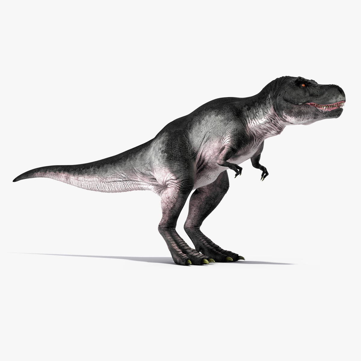 3D T Rex Walking Animated Rigged for Cinema 4D model
