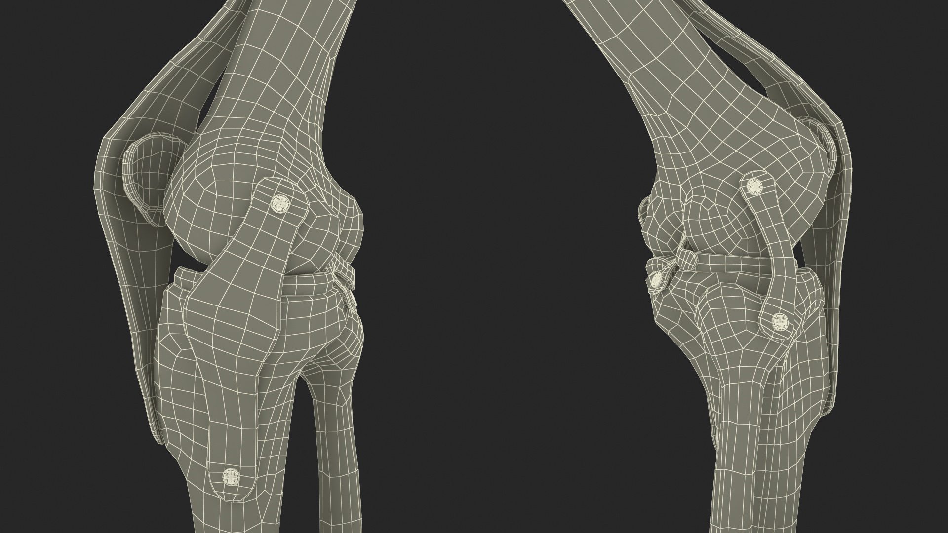 Anatomical Model of Knee Joint Rigged 3D