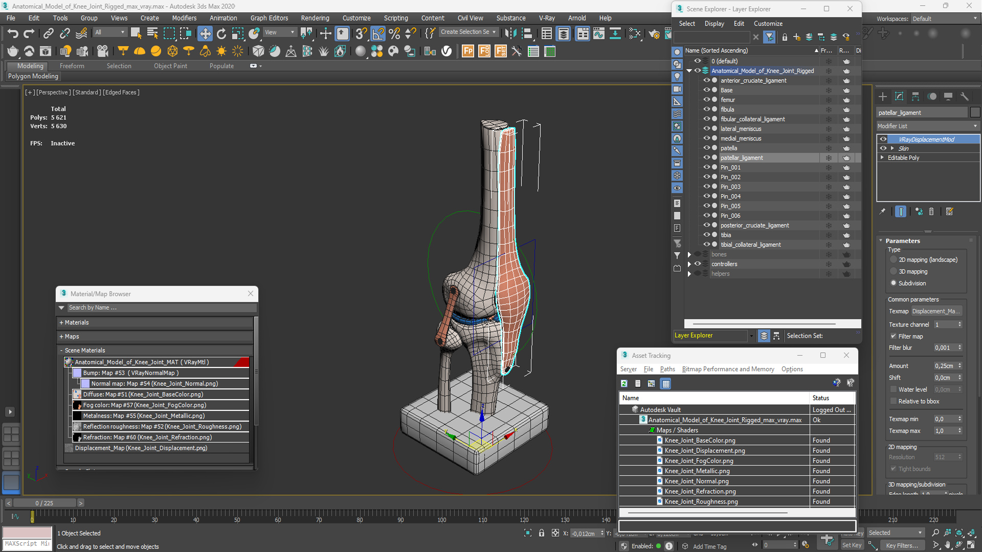 Anatomical Model of Knee Joint Rigged 3D