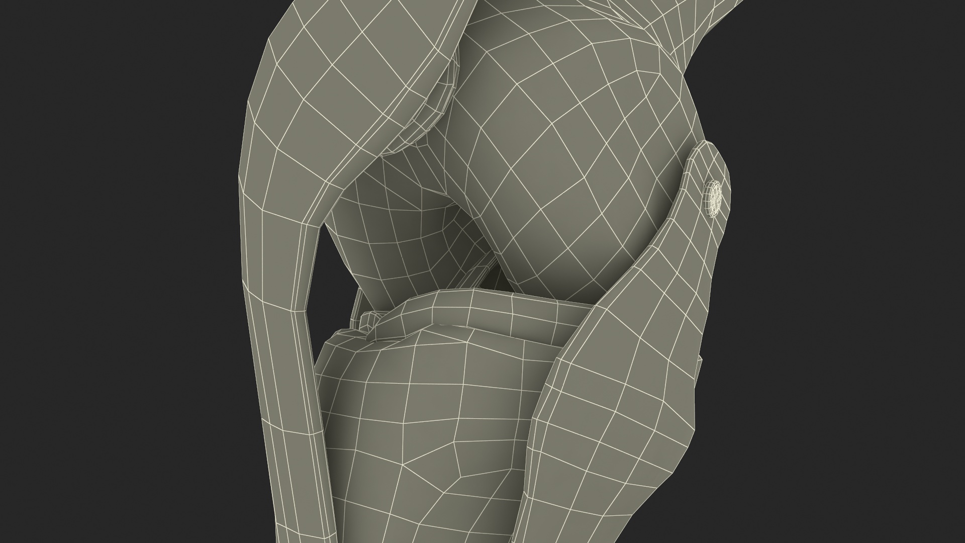 Anatomical Model of Knee Joint Rigged 3D