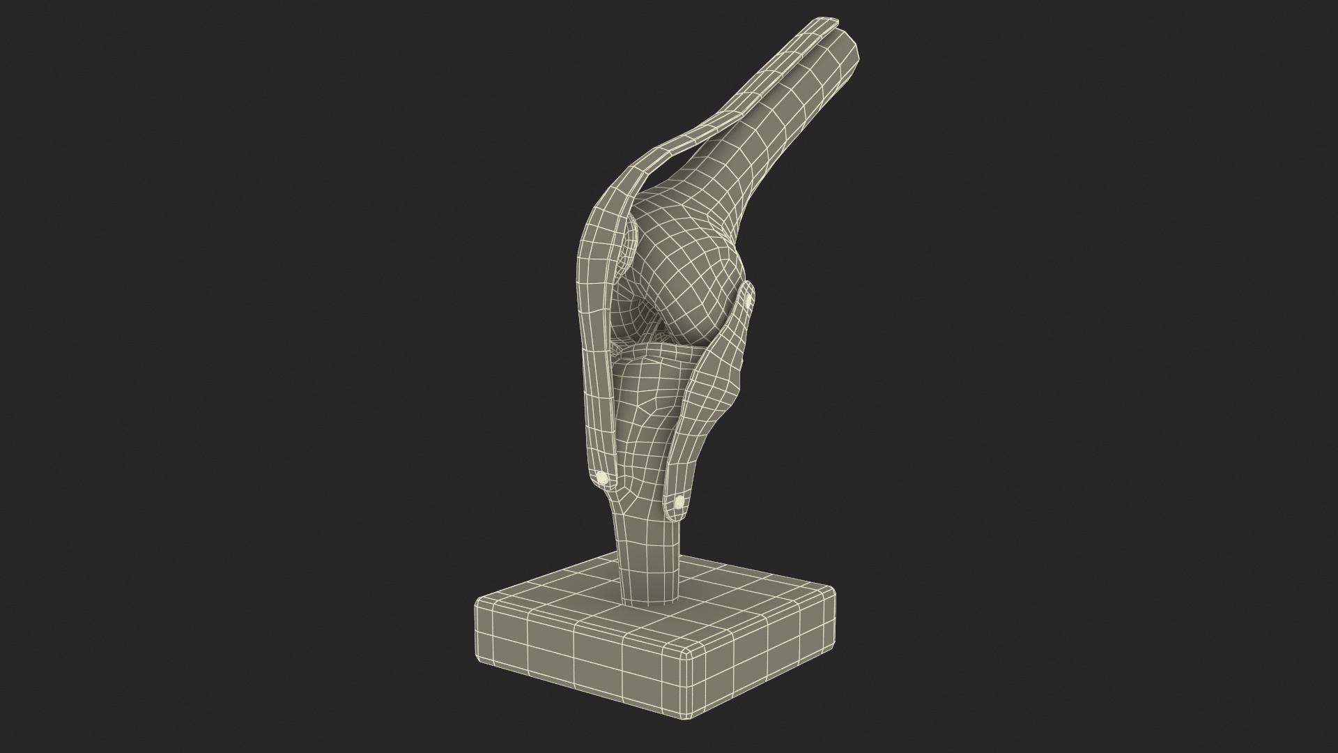 Anatomical Model of Knee Joint Rigged 3D