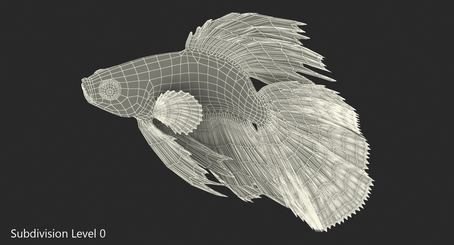 3D model Red Crowntail Betta Fish Rigged for Cinema 4D