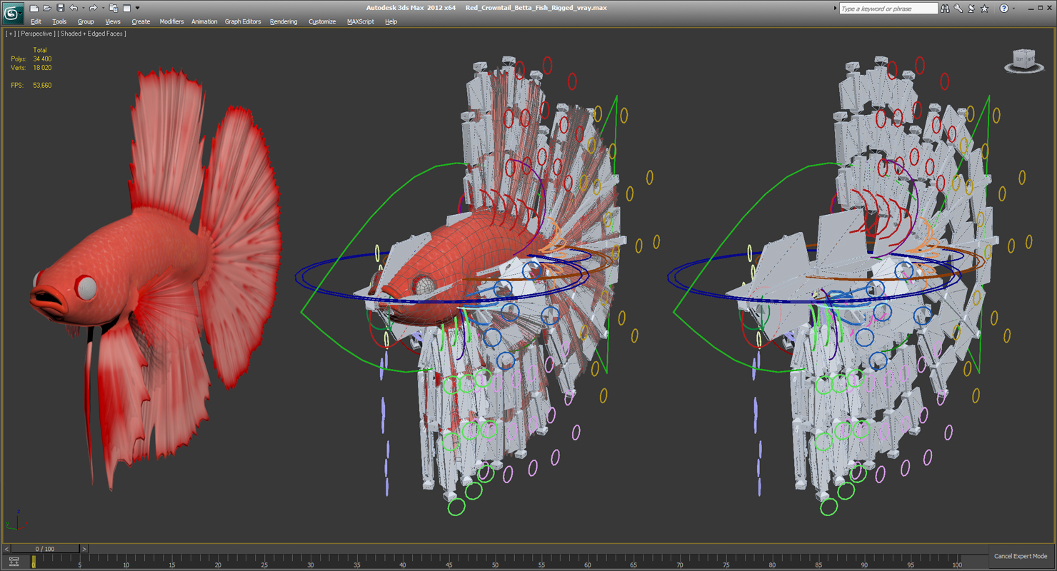 3D model Red Crowntail Betta Fish Rigged for Cinema 4D