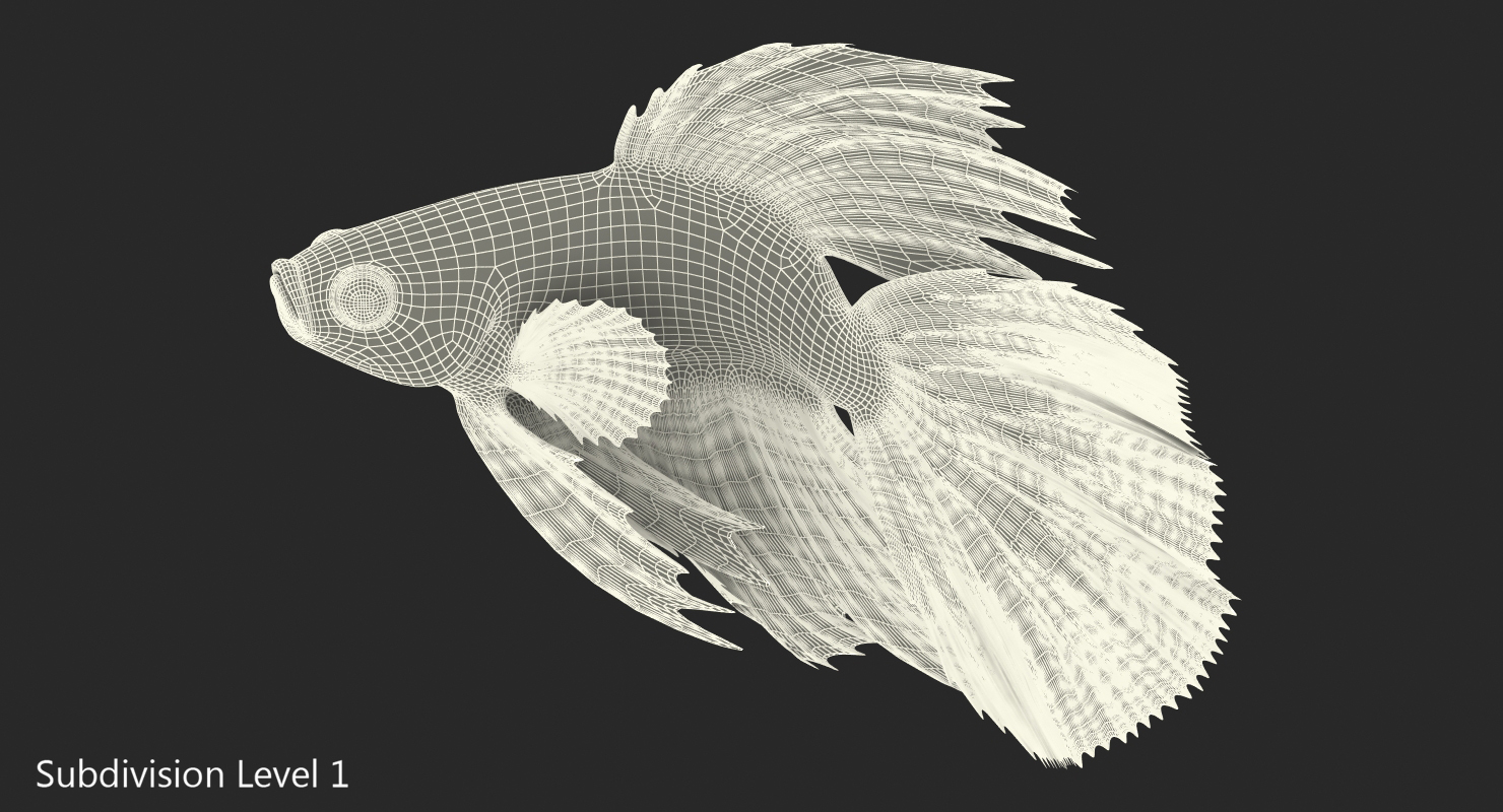 3D model Red Crowntail Betta Fish Rigged for Cinema 4D