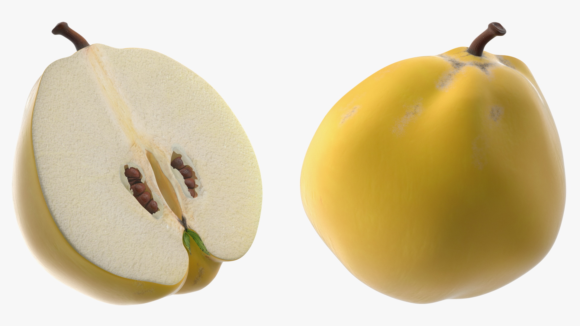 3D model Quince on Plate