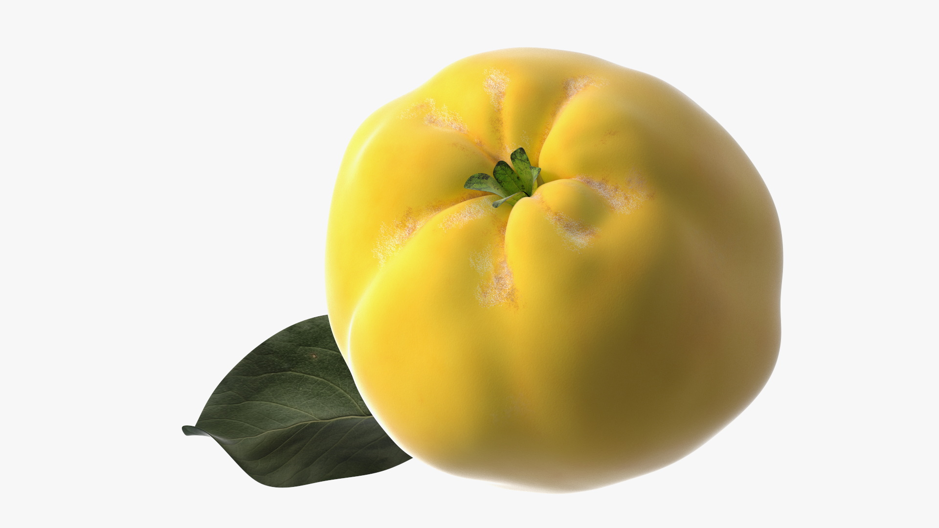 3D model Quince on Plate