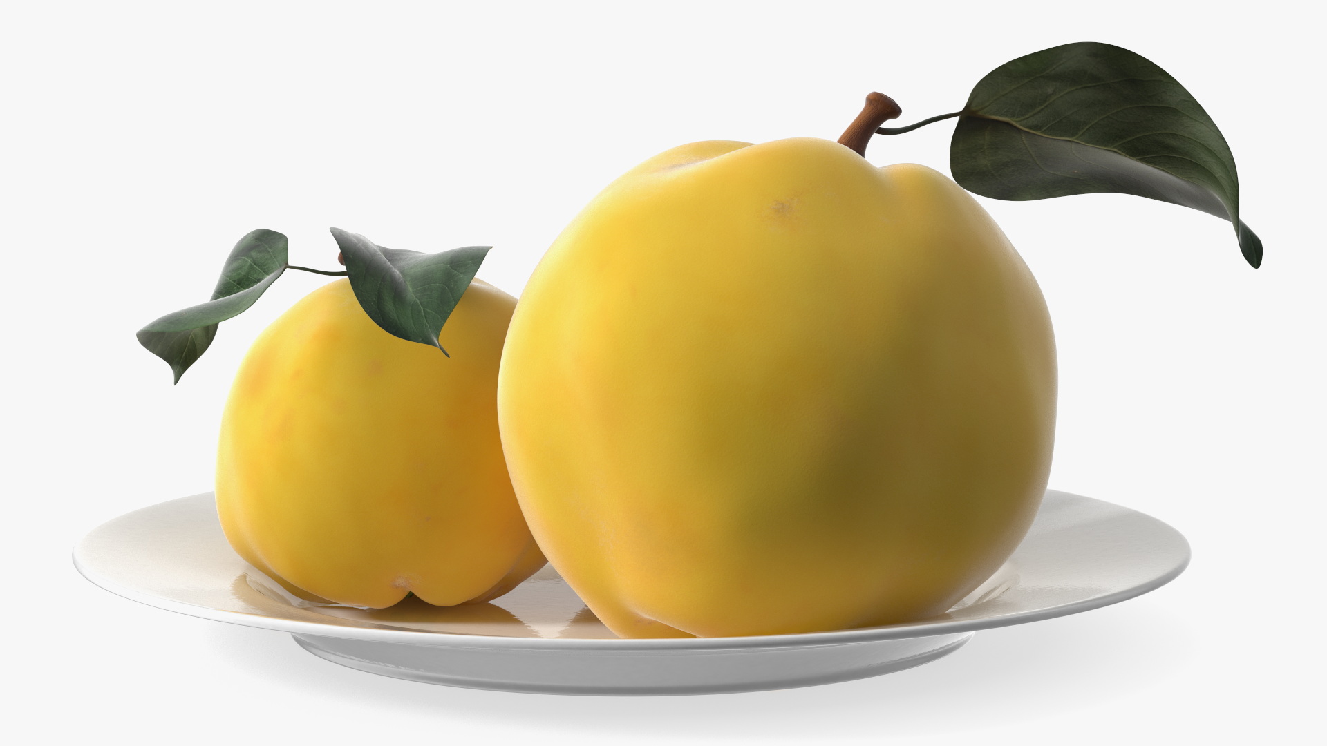 3D model Quince on Plate