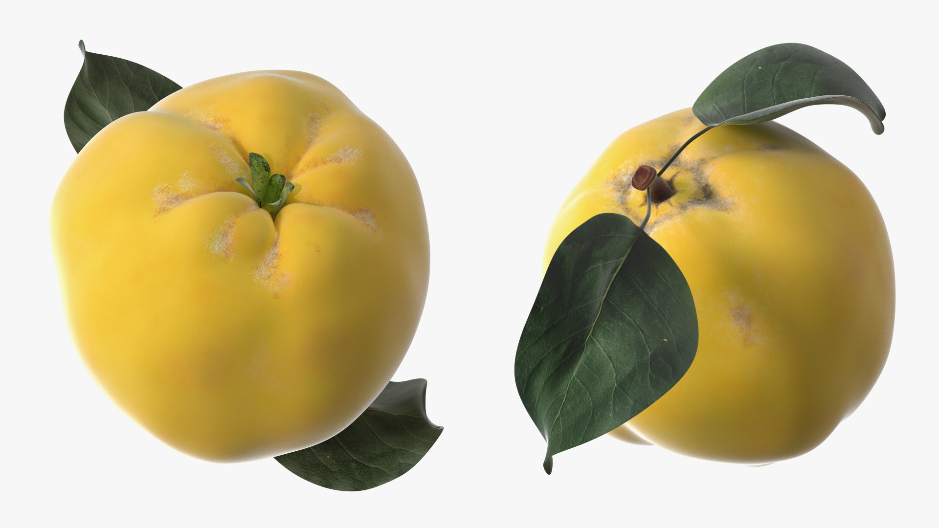 3D model Quince on Plate