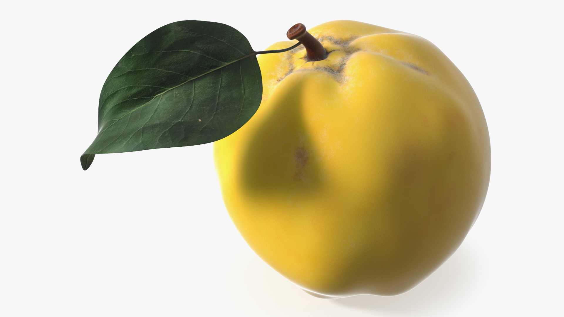 3D model Quince on Plate